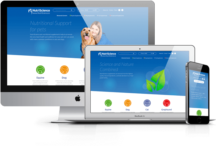 Our Solutions
